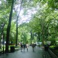 Dsc00556